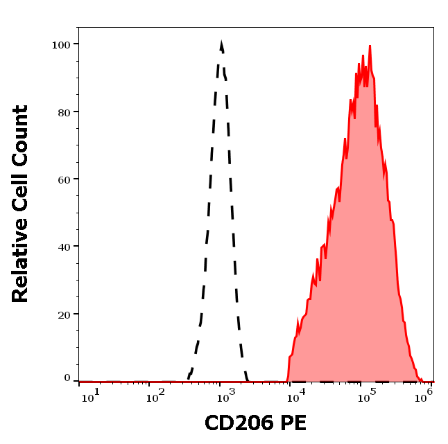 CD206 Antibody (PE)