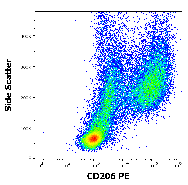 CD206 Antibody (PE)