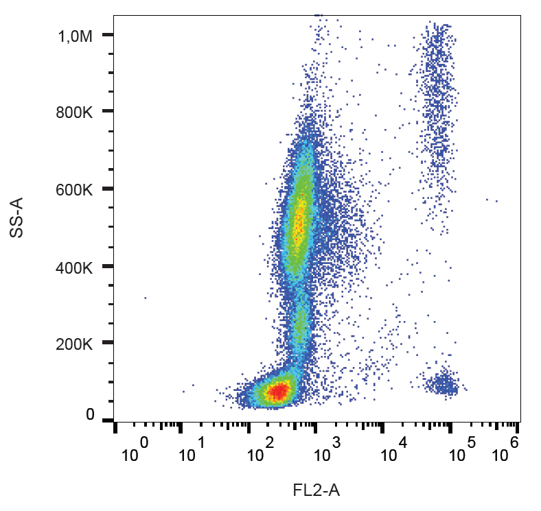 CD193 Antibody (PE)
