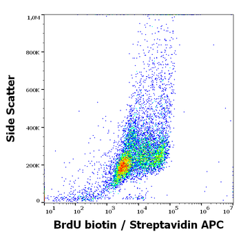 BrdU Antibody (Biotin)