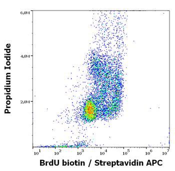 BrdU Antibody (Biotin)