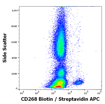 CD268 Antibody (Biotin)