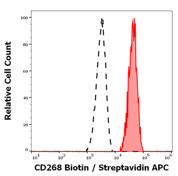 CD268 Antibody (Biotin)
