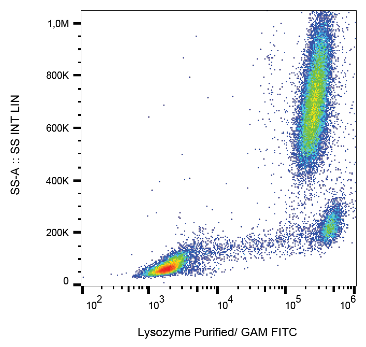 Lysozyme Antibody