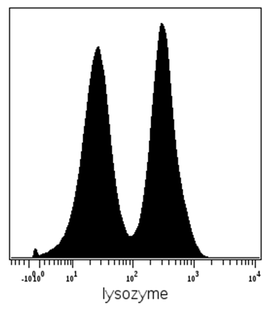 Lysozyme Antibody