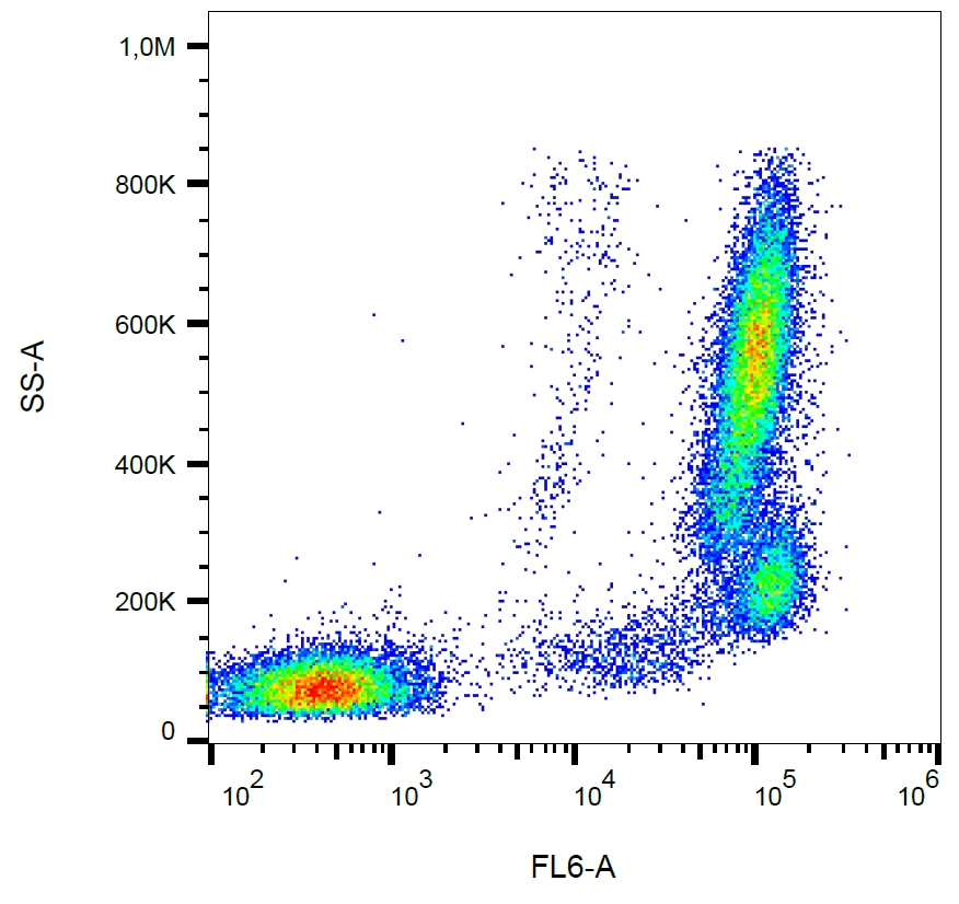 CD157 Antibody (APC)