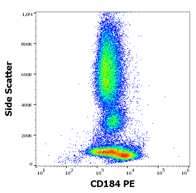 CD184 Antibody (PE)