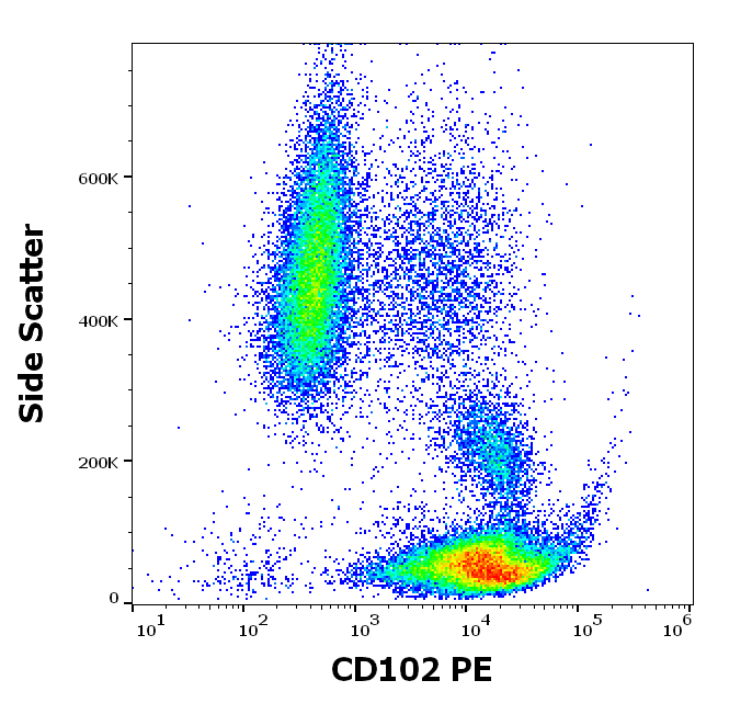 CD102 Antibody (PE)