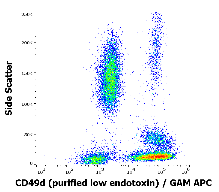 CD49d Antibody