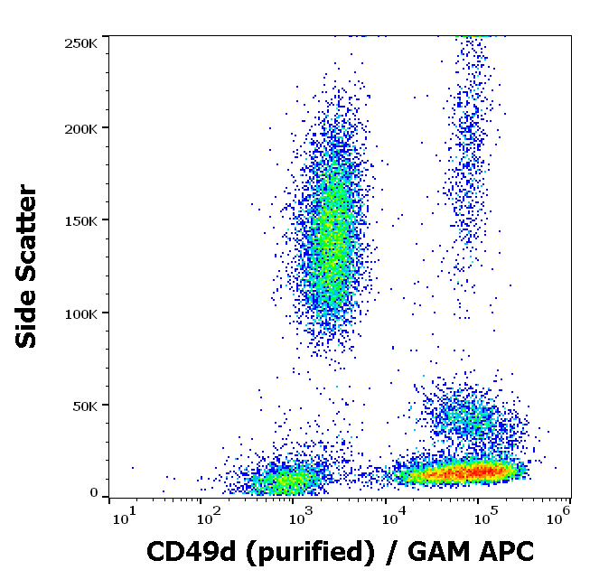 CD49d Antibody