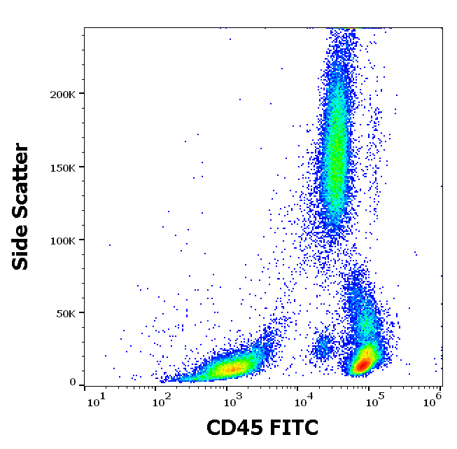 CD45 Antibody (FITC)