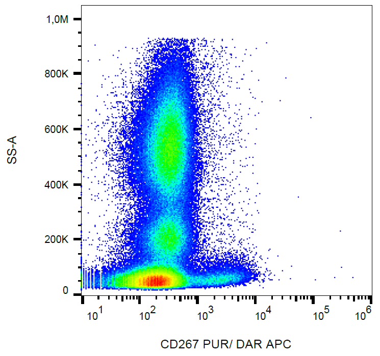 CD267 Antibody