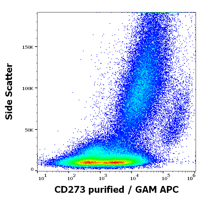 CD273 Antibody