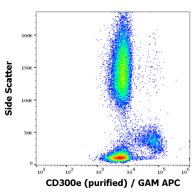 CD300e Antibody