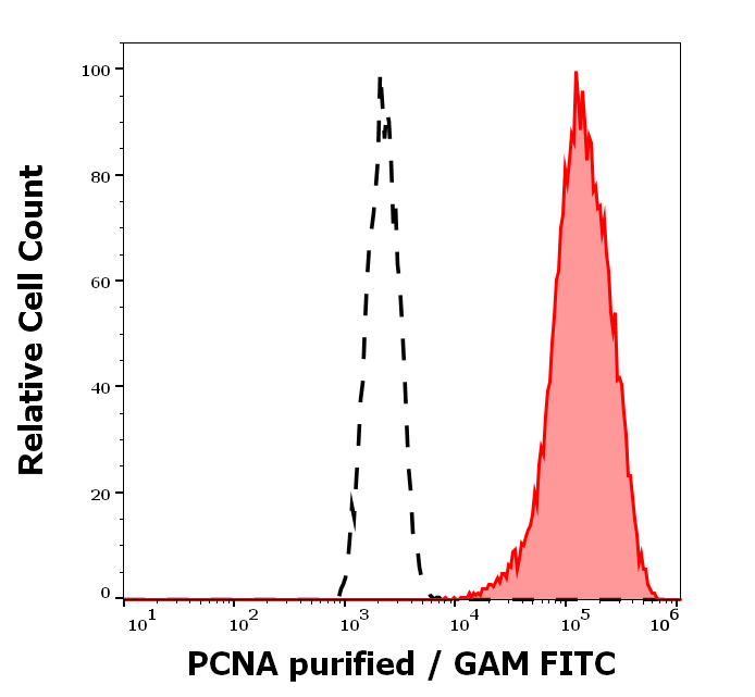 PCNA Antibody