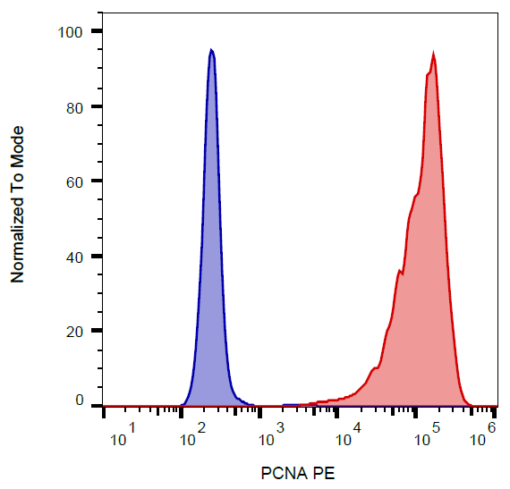 PCNA Antibody (PE)