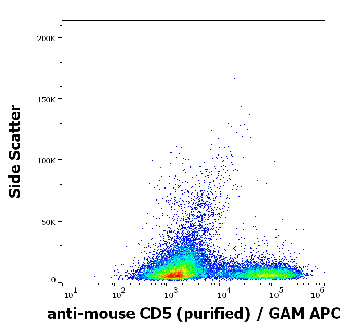 CD5 Antibody