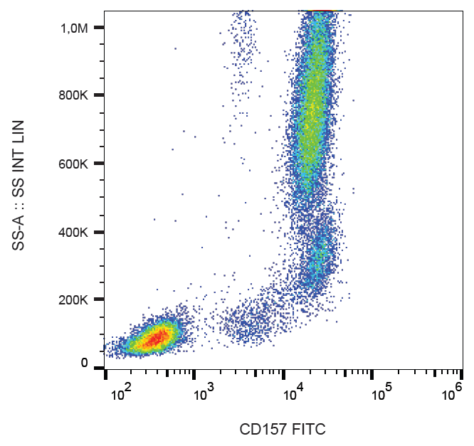 CD157 Antibody (FITC)