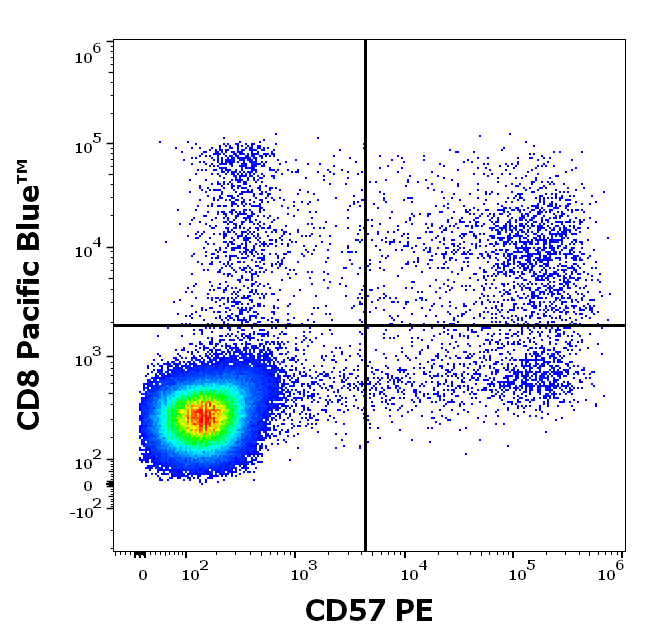 CD57 Antibody (PE)
