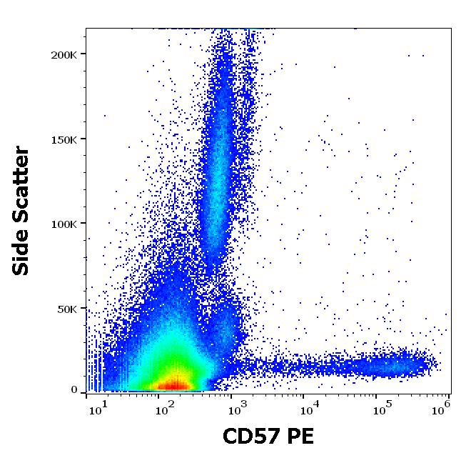 CD57 Antibody (PE)
