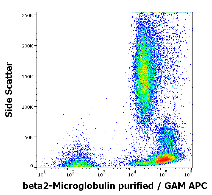 beta2-Microglobulin Antibody