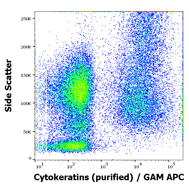 Cytokeratins Antibody