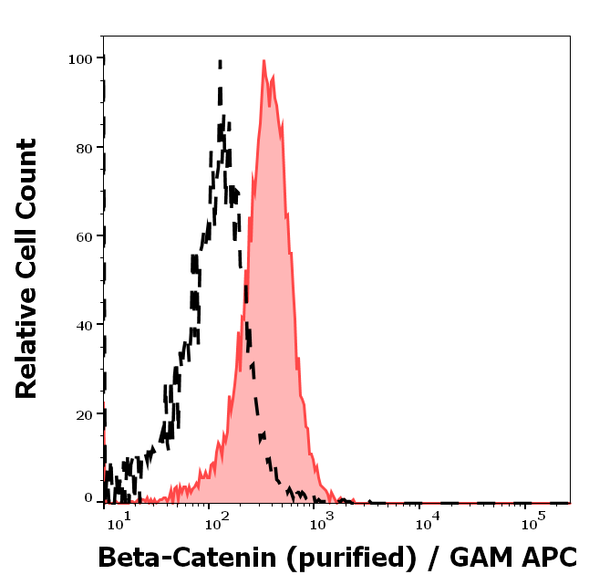beta-Catenin Antibody