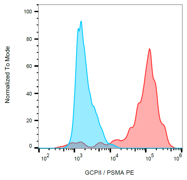PSMA Antibody (PE)