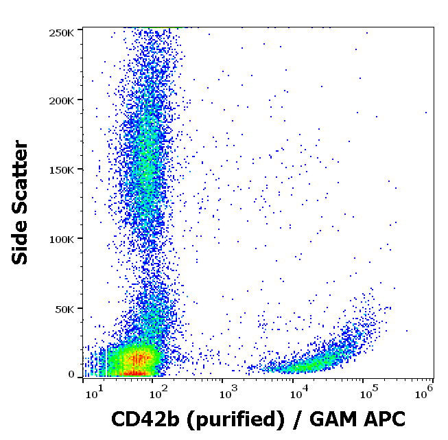CD42b Antibody