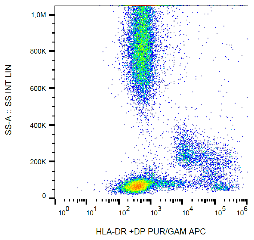 HLA-DR/DP Antibody