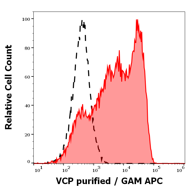 VCP Antibody