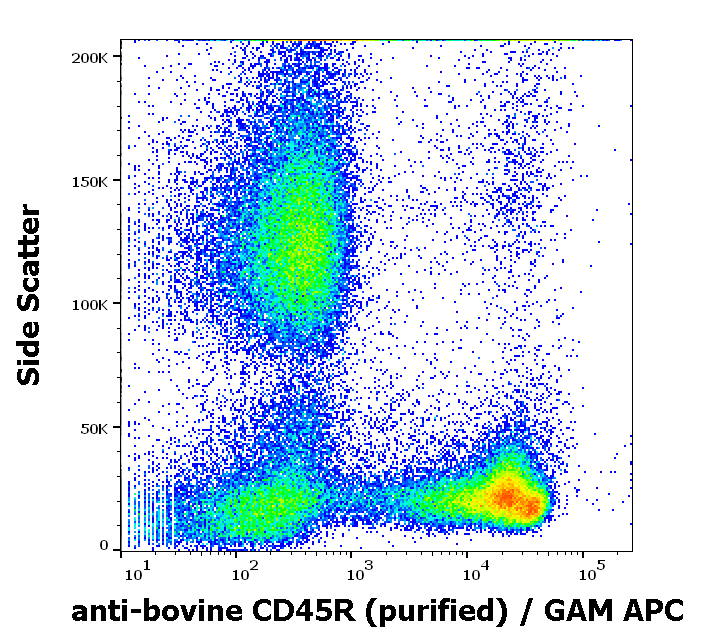 CD45R Antibody