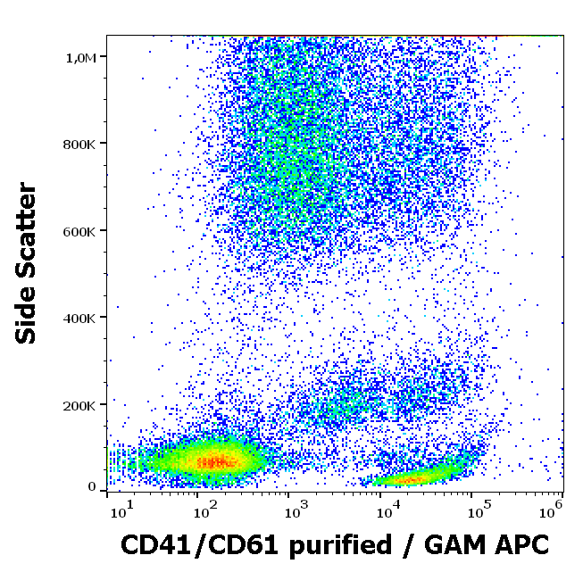 CD41/CD61 Antibody
