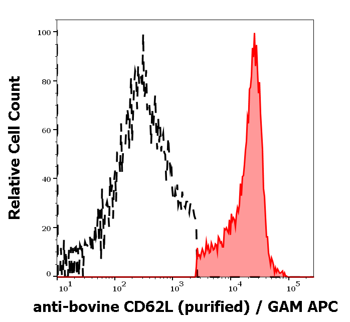 CD62L Antibody