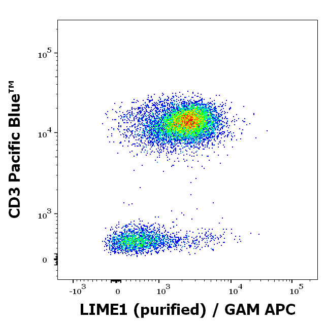 LIME1 Antibody