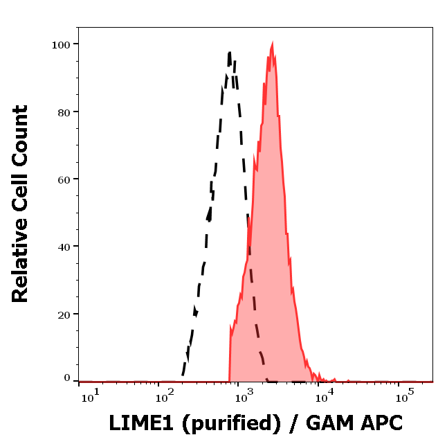 LIME1 Antibody