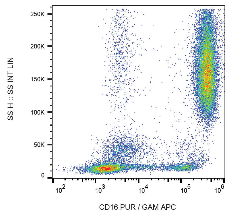 CD16 Antibody