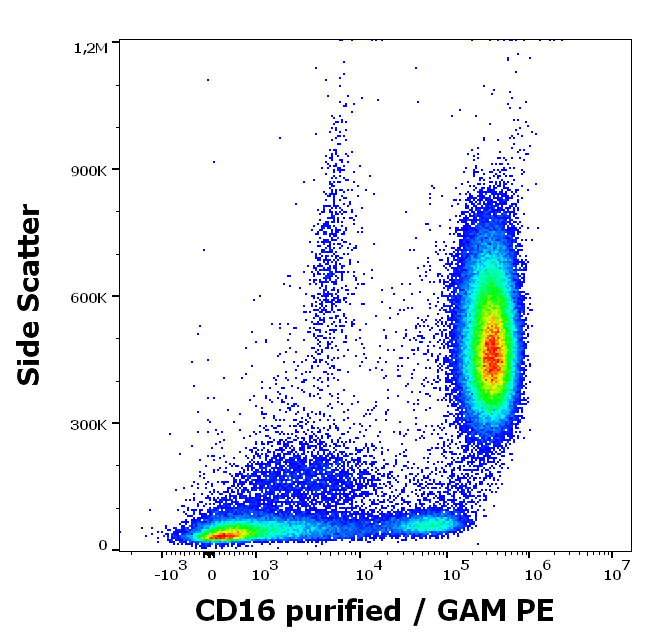 CD16 Antibody