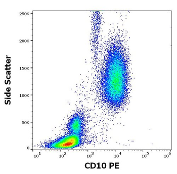CD10 Antibody (PE)