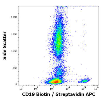 CD19 Antibody (Biotin)