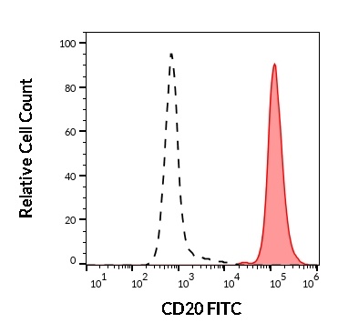 CD20 Antibody (FITC)