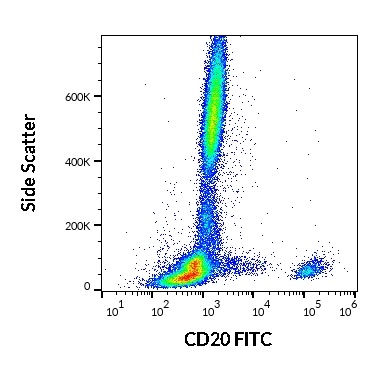 CD20 Antibody (FITC)