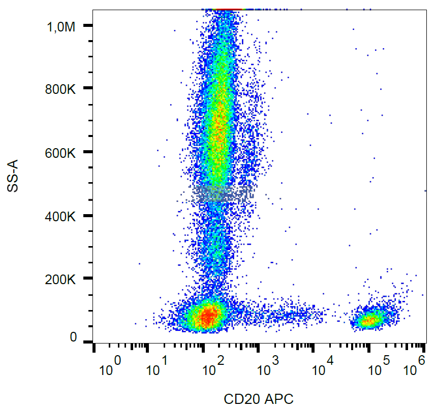 CD20 Antibody (APC)