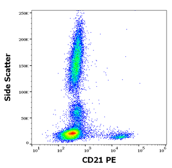 CD21 Antibody (PE)