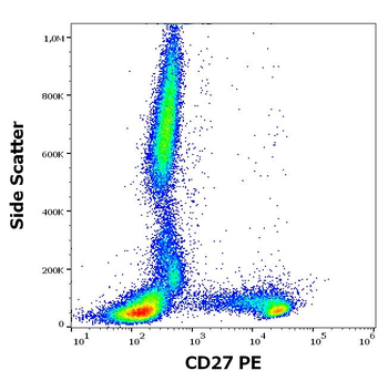 CD27 Antibody (PE)