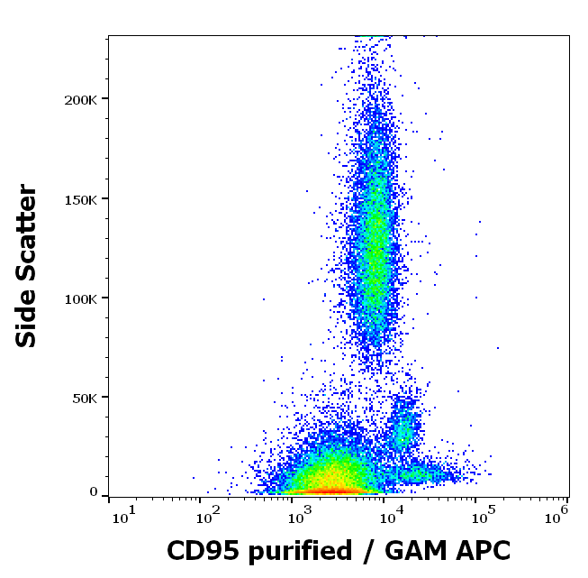 CD95 Antibody