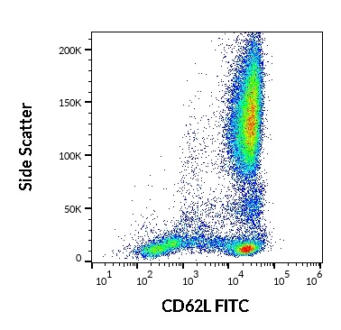 CD62L Antibody (FITC)