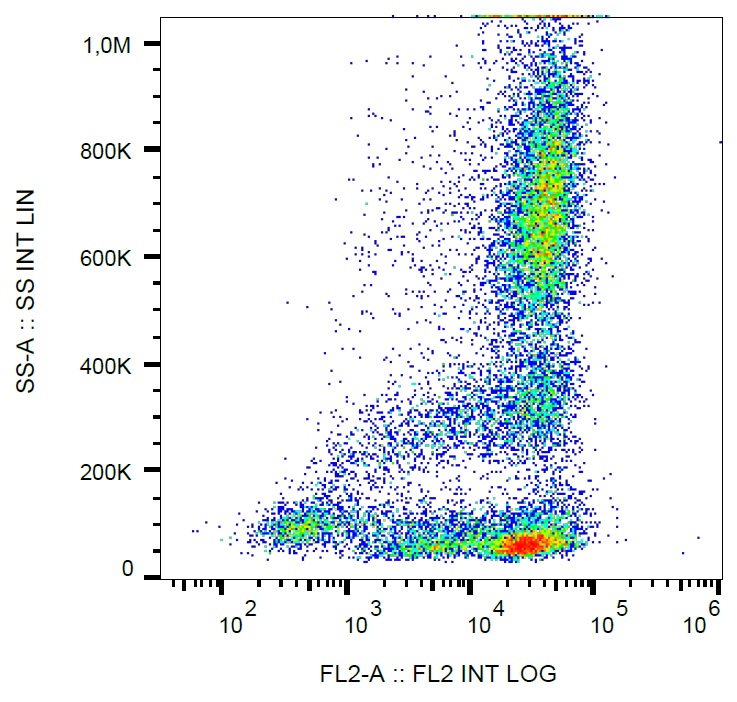 CD62L Antibody (PE)