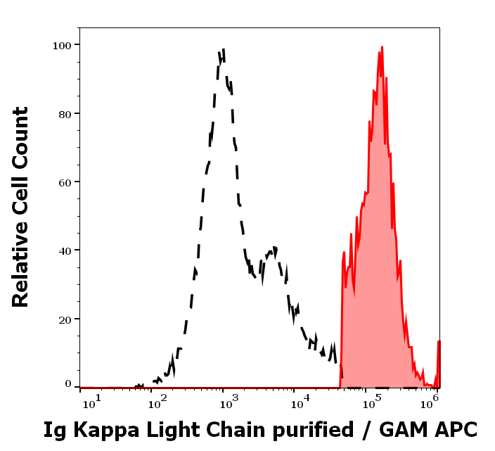 Ig Kappa Light Chain Antibody