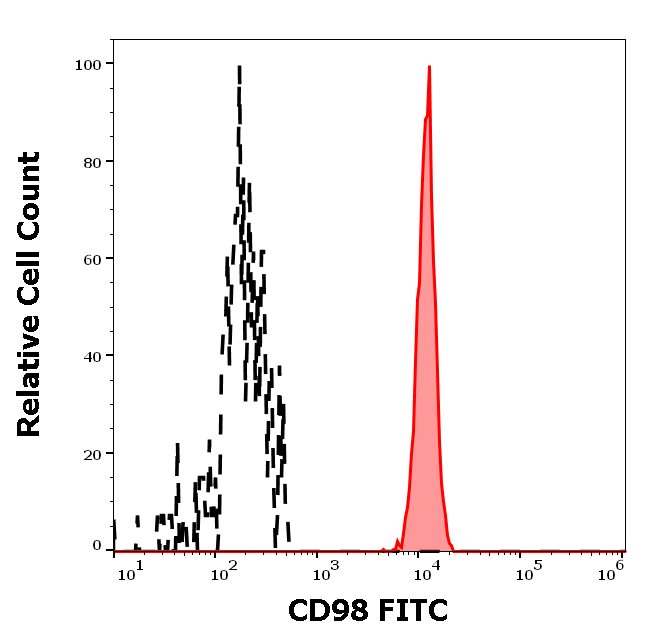 CD98 Antibody (FITC)